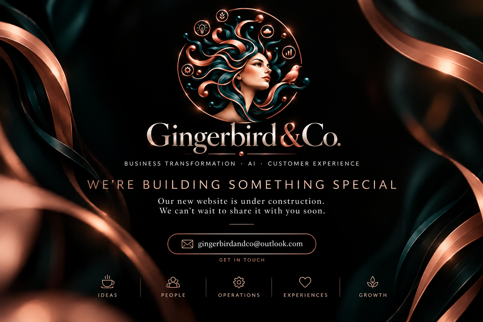 Gingerbird & Co. Business Transformation, AI and Customer Experience. We're building something special. Our new website is under construction. We can't wait to share it with you soon. Contact gingerbirdandco@outlook.com.
